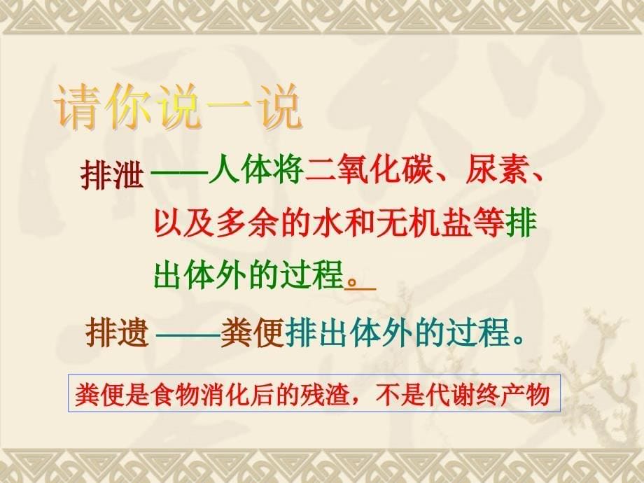 人体内废物的排出.ppt_第5页