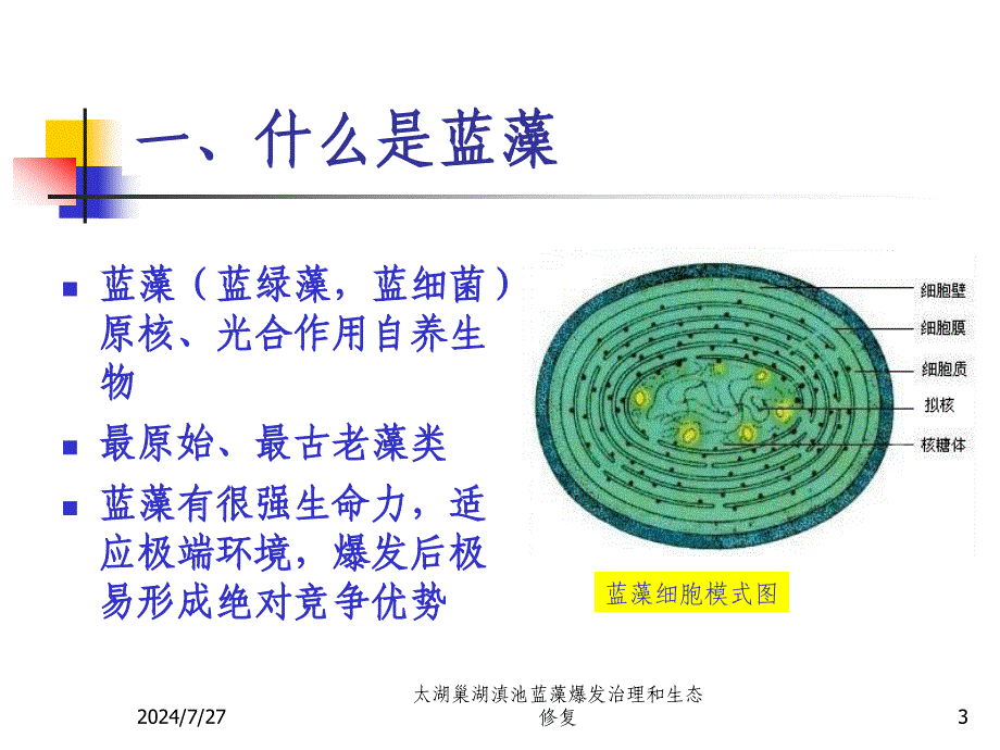 太湖巢湖滇池蓝藻爆发治理和生态修复_第3页