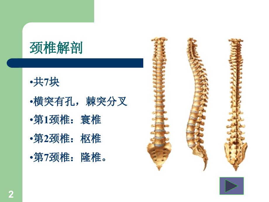 关节松动手法-颈椎.ppt_第2页