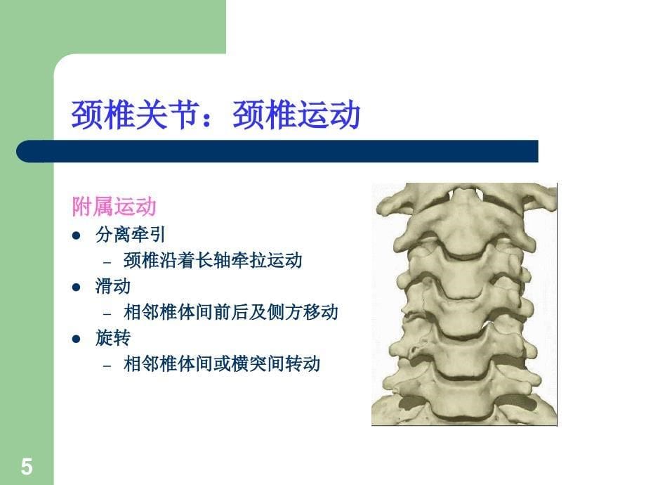 关节松动手法-颈椎.ppt_第5页