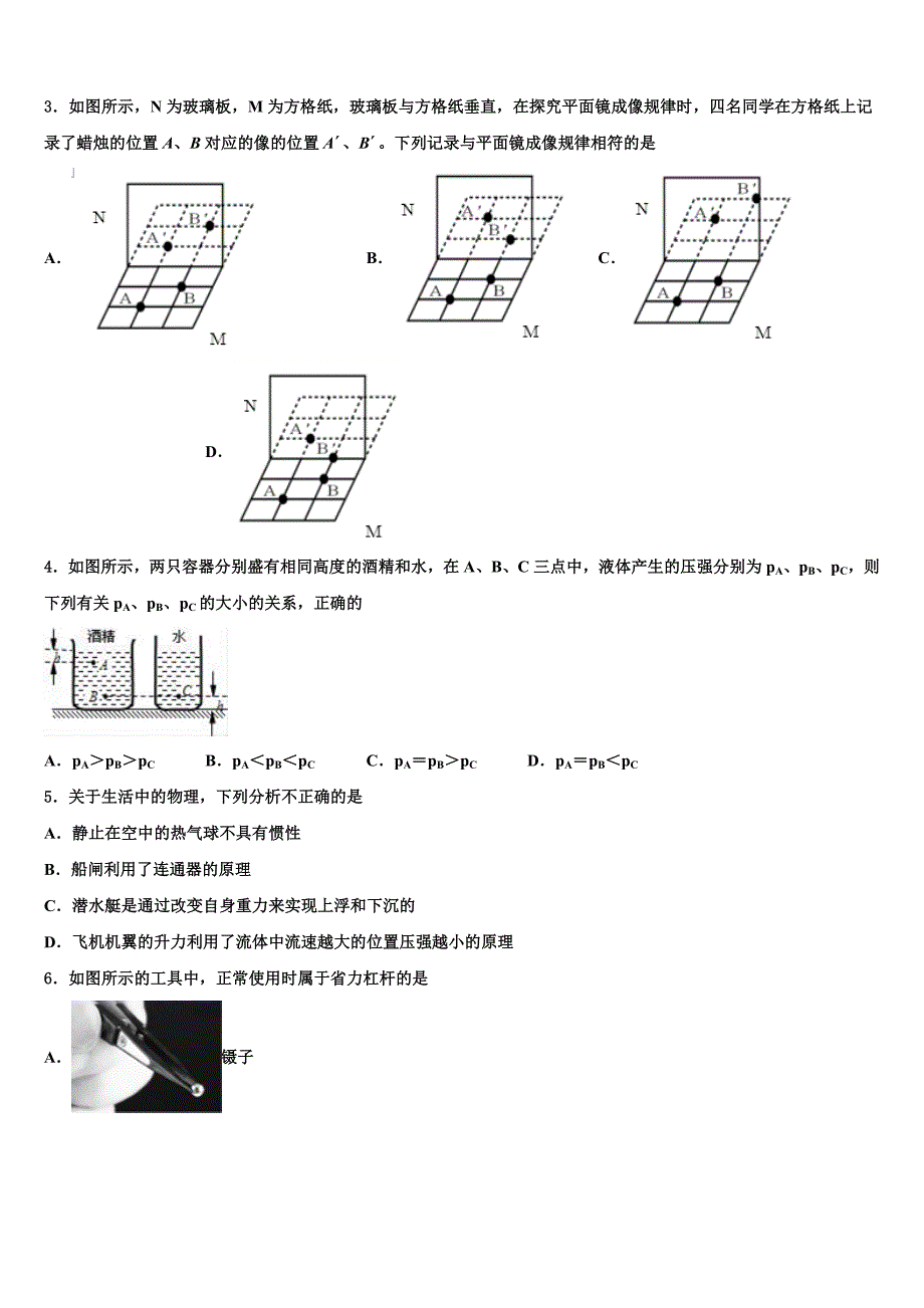 四川省岳池县联考2023学年物理八下期末统考模拟试题（含解析）.doc_第2页