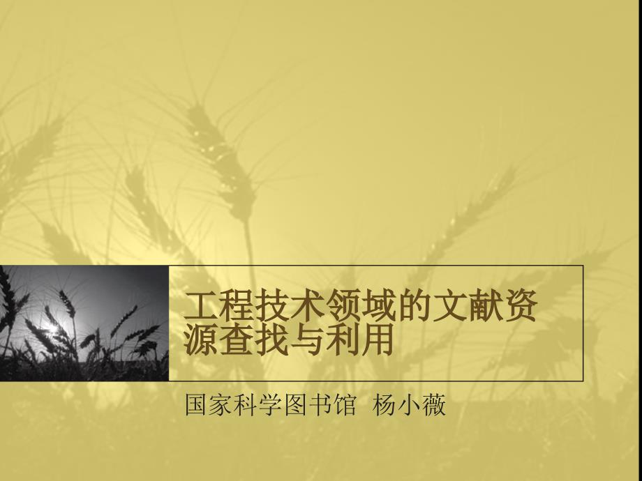工程技领域的文献资源查找与利用_第1页