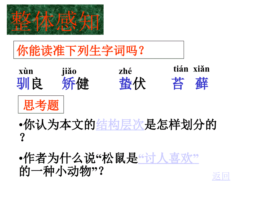 （苏教版）七年级下《松鼠》课件2_第4页