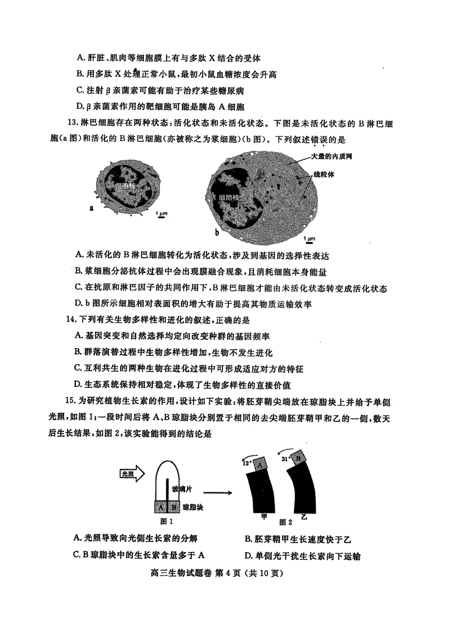 郑州市高中毕业年级第一次质量预测生物试题_第4页