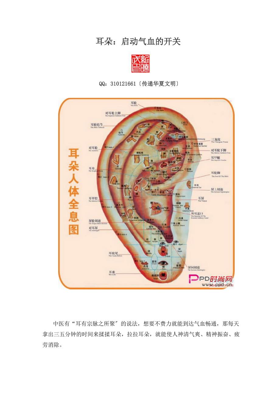 耳朵启动气血的开关_第1页