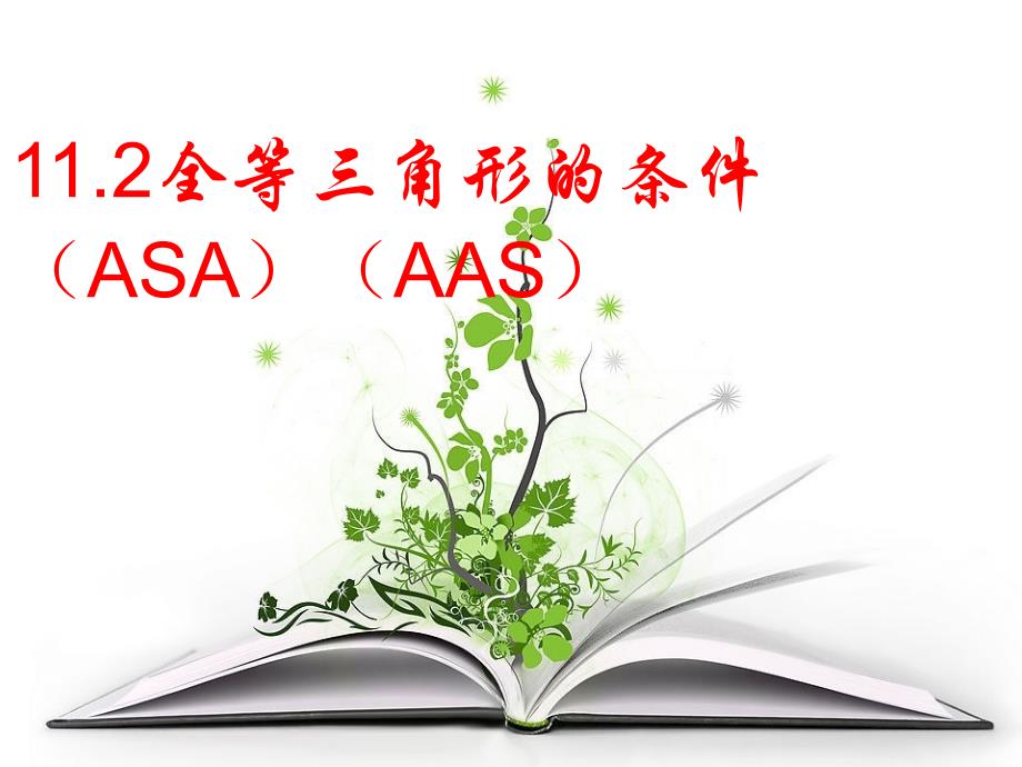 三角形全等的判定AAS,ASA_第1页