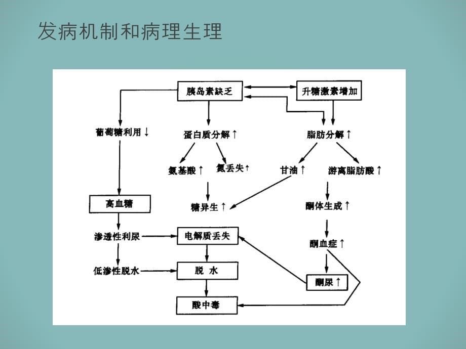 医学专题：小儿糖尿病酮症酸中47666_第5页