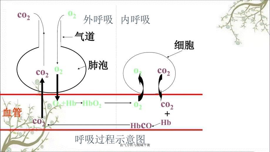 血气分析与酸碱平衡_第5页