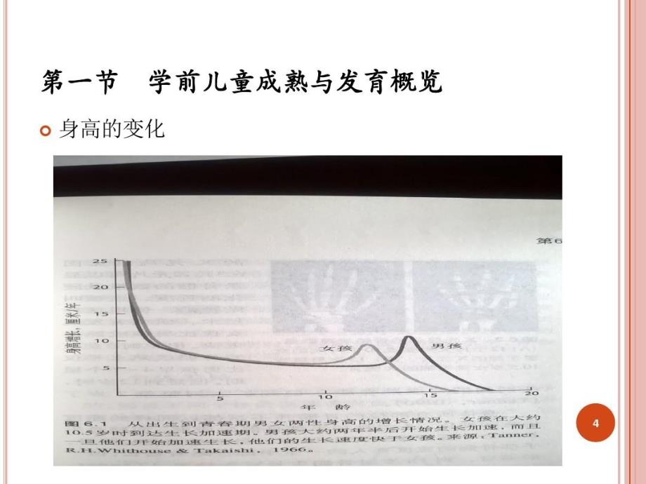 学前儿童发展心理学学前儿童的生理发展课件_第5页