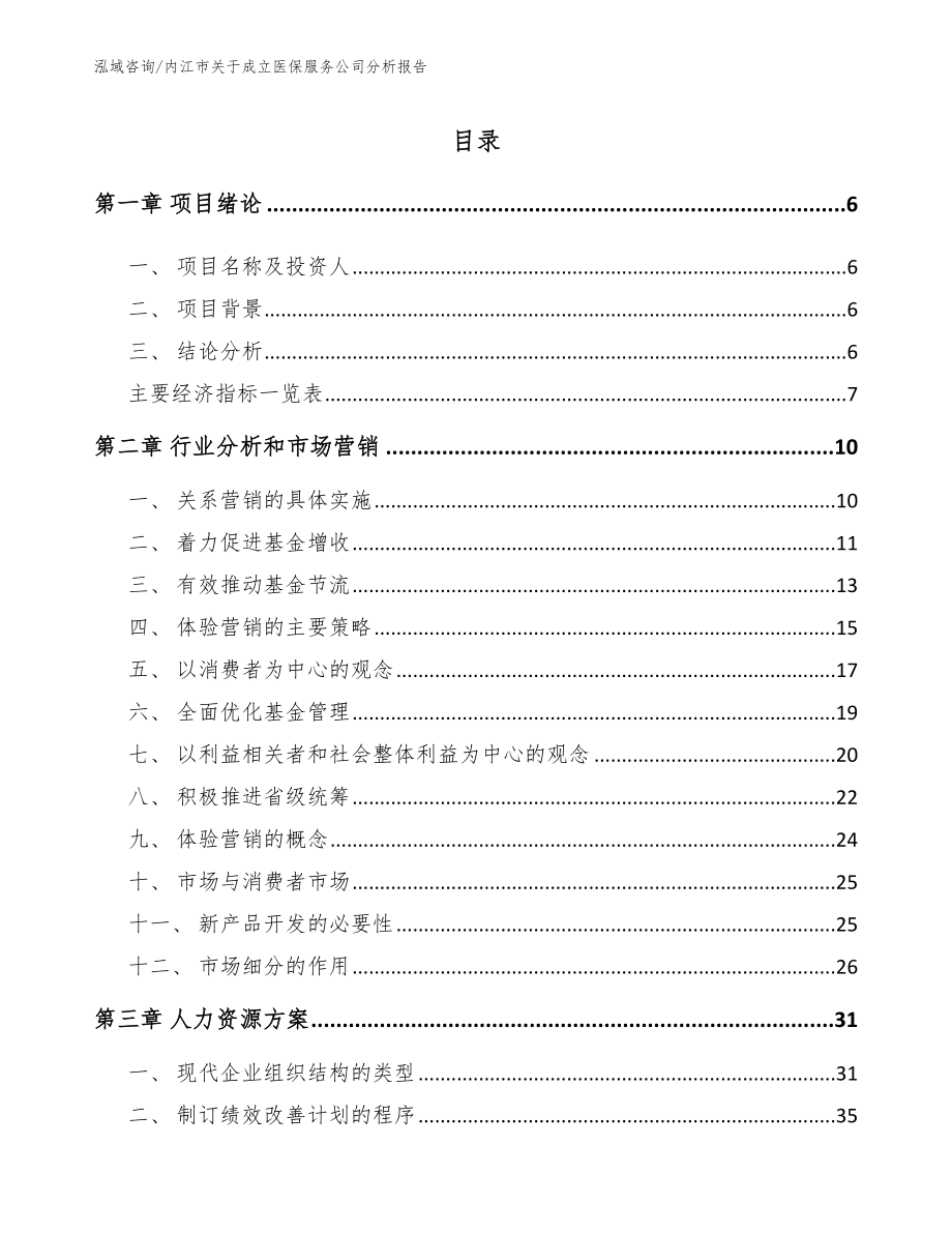 内江市关于成立医保服务公司分析报告参考模板_第1页