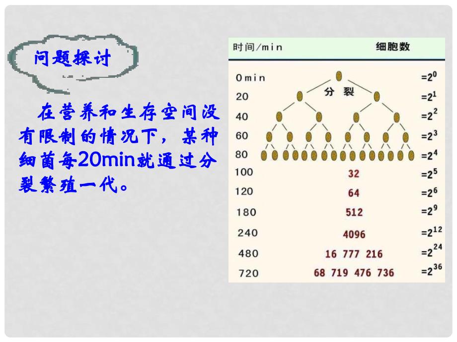 广东省新兴县高二生物《42 种群数量的变化》课件 新人教版必修3_第4页