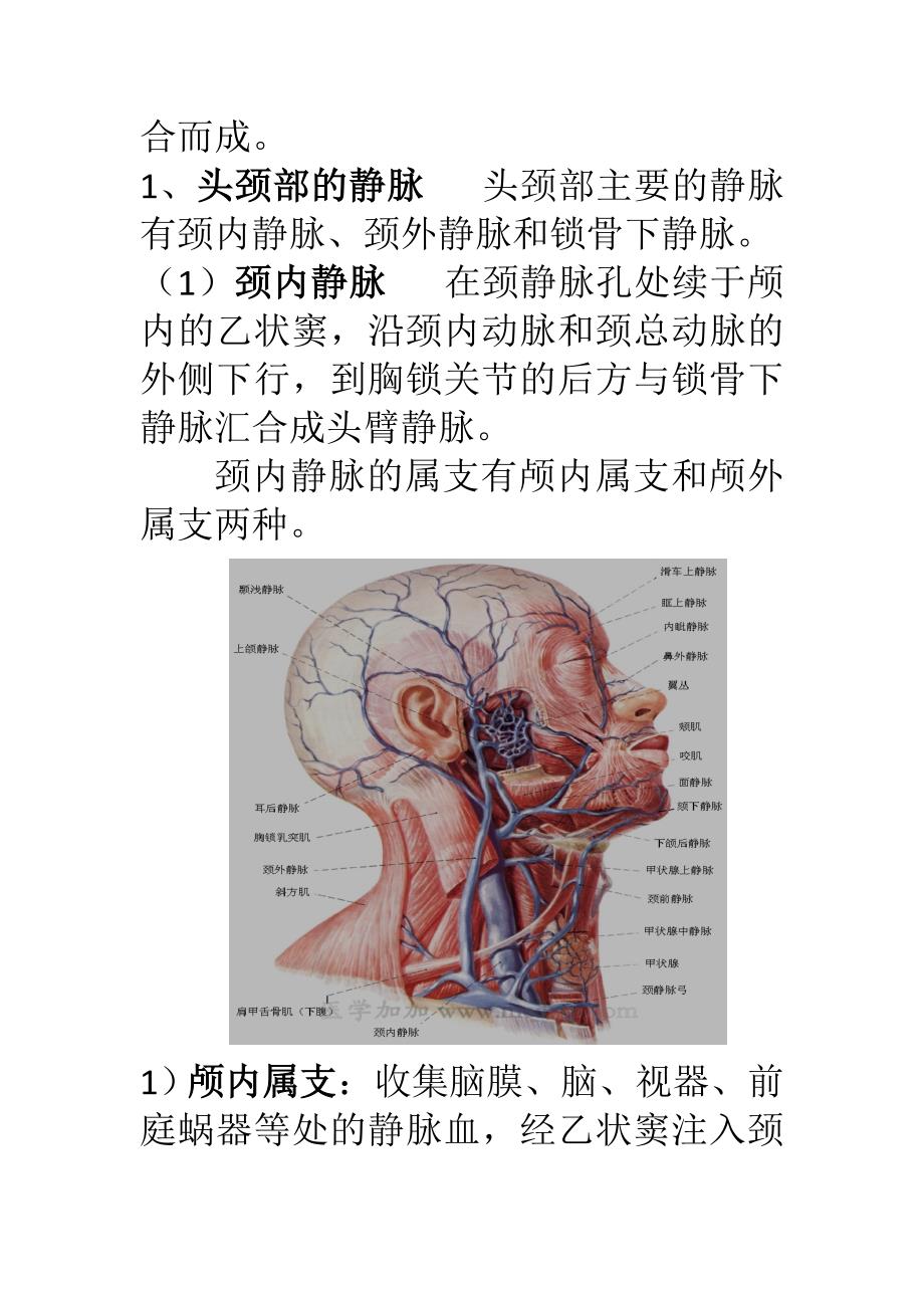 医学笔记：人体解剖学之心血管系统（三）_第4页