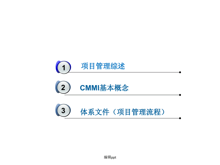 项目管理与CMMI概述_第2页