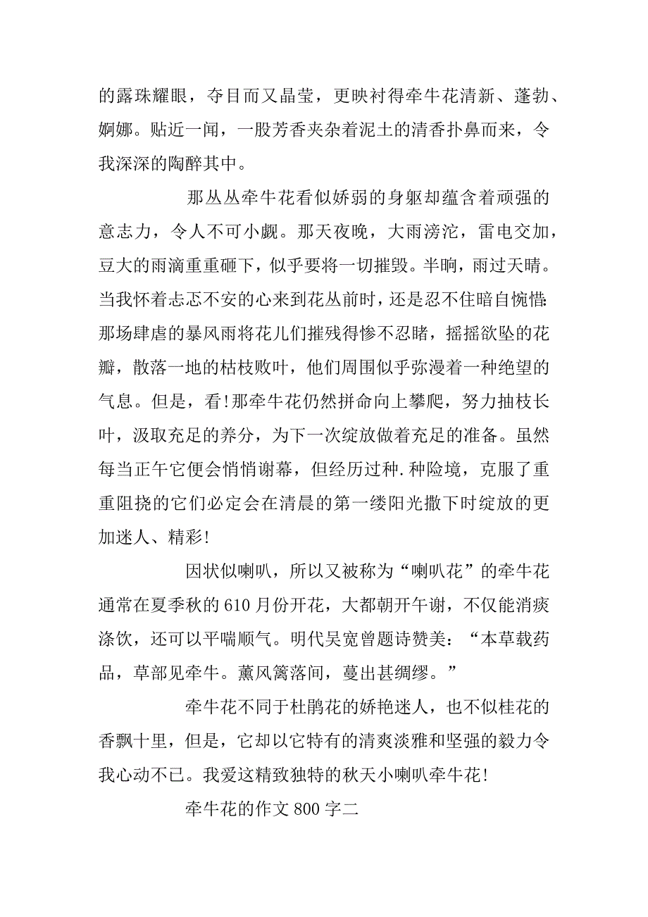 2023年关于牵牛花的作文800字6篇_第3页