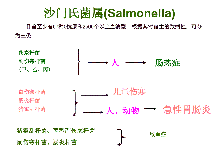 第七章食品中常见病原菌微生物检验技术_第4页