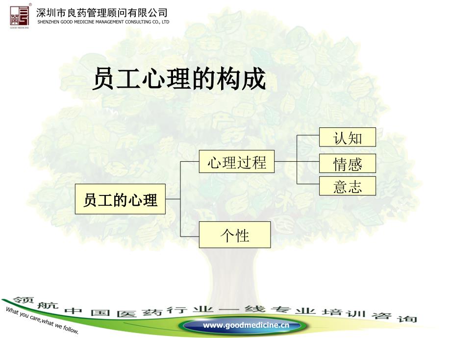 人力资源管理之企业员工心理管理_第3页