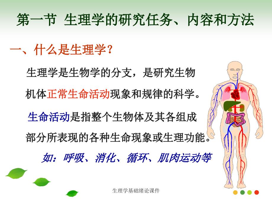 生理学基础绪论课件_第3页