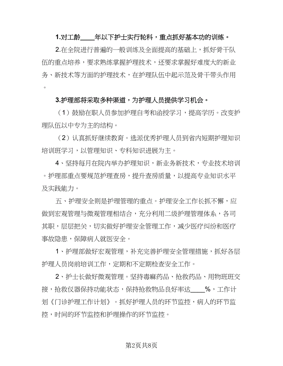 护士2023年的工作计划例文（二篇）.doc_第2页