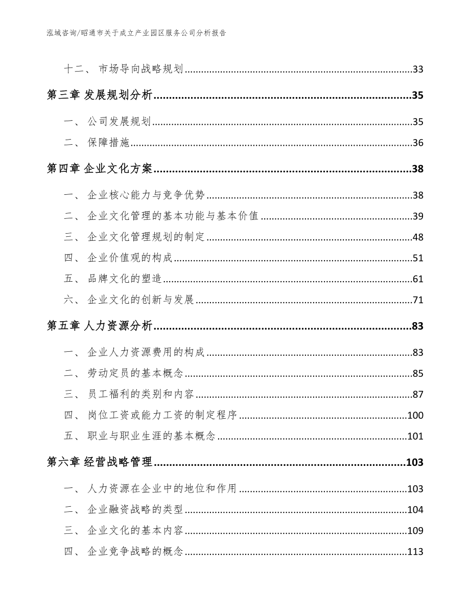 昭通市关于成立产业园区服务公司分析报告（模板参考）_第2页
