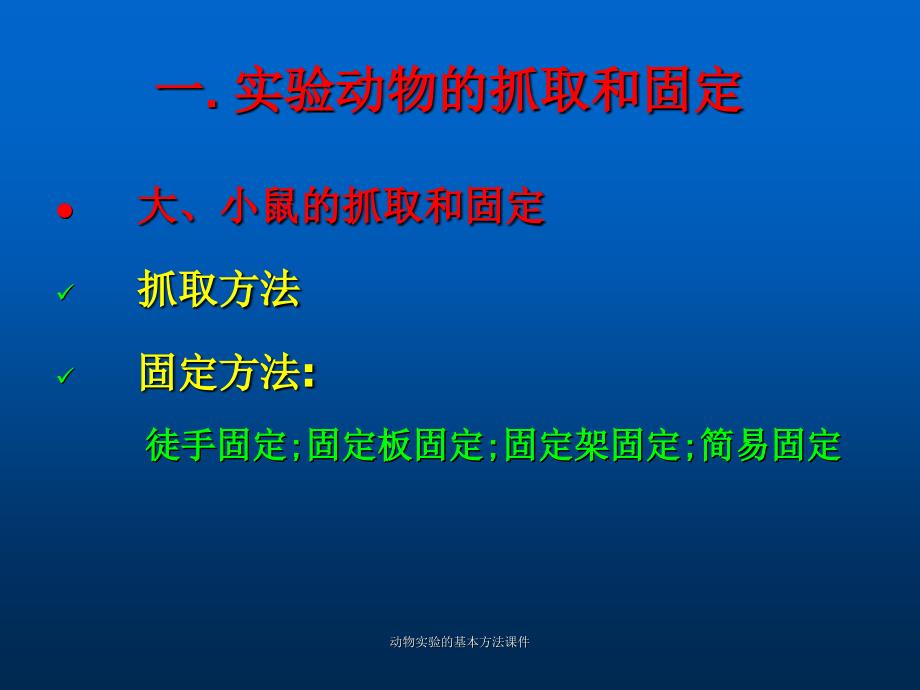 动物实验的基本方法课件_第3页