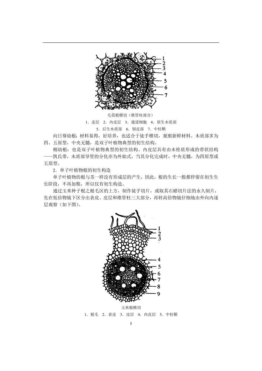 生物竞赛辅导--第十一章生物学实验（中）_第5页