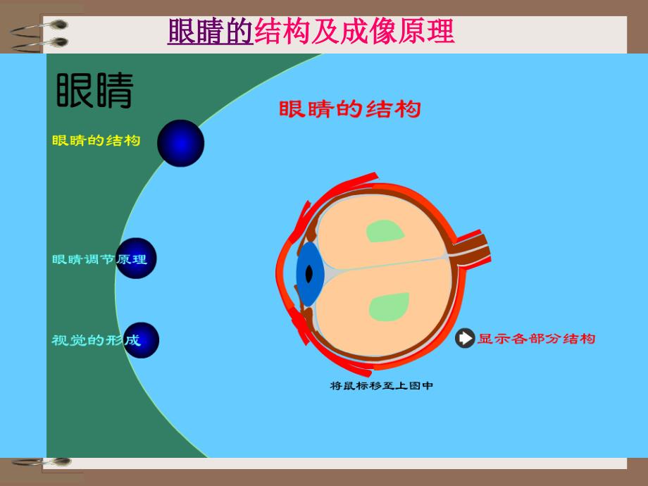 《眼睛和眼镜》课件_第3页