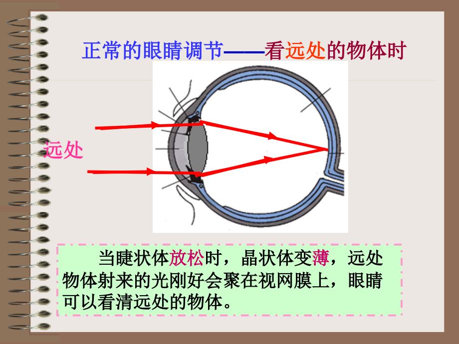 《眼睛和眼镜》课件_第4页