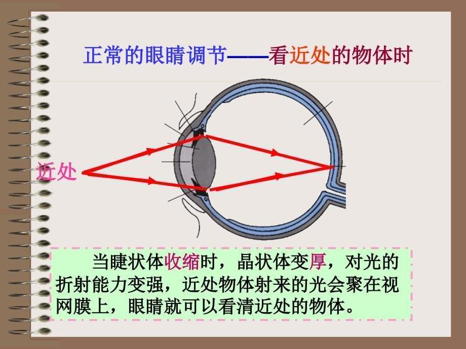 《眼睛和眼镜》课件_第5页