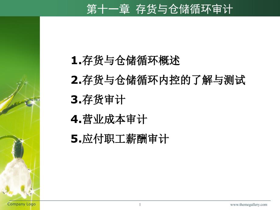 存货与仓储业务循环审计_第1页