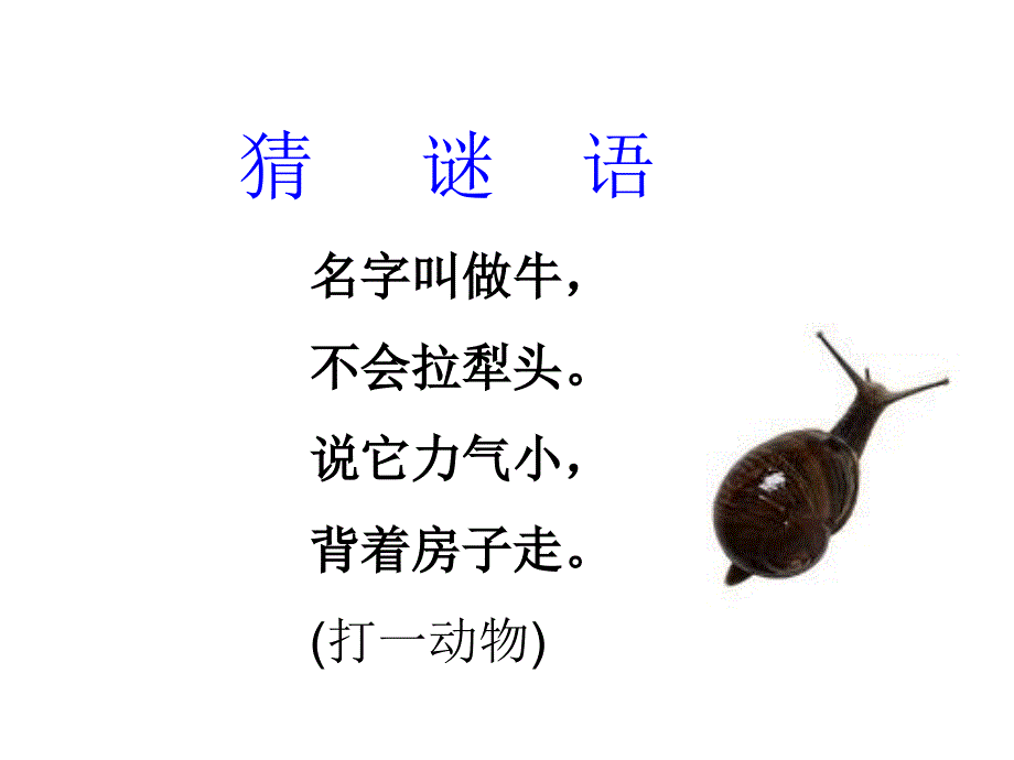 蜗牛的奖杯ppt_第1页