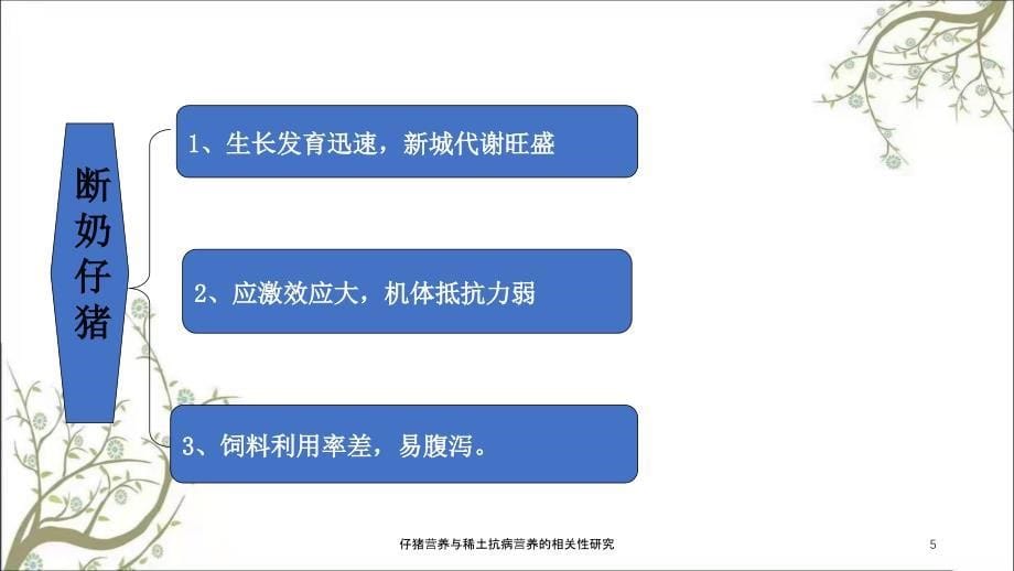 仔猪营养与稀土抗病营养的相关性研究_第5页