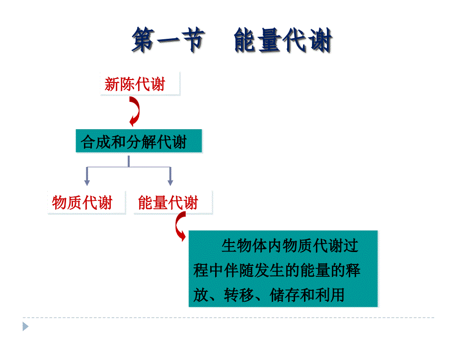 中职生理学课件第七章能量代谢与体温_第3页