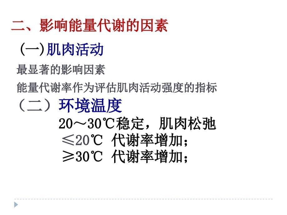 中职生理学课件第七章能量代谢与体温_第5页