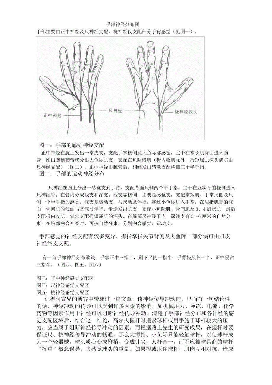 手部神经分布图_第2页