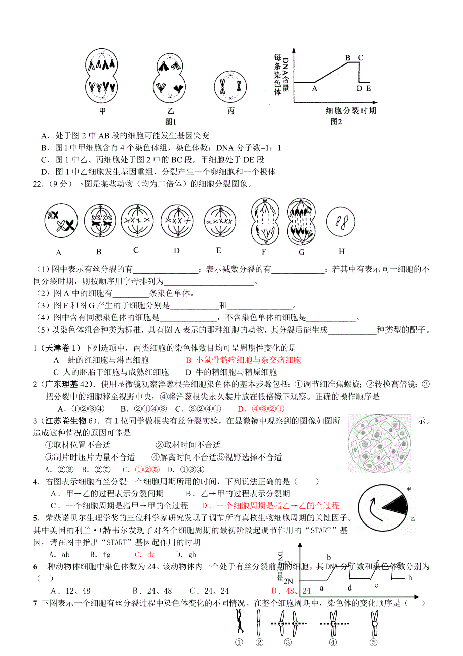 细胞增殖练习题及答案_第3页