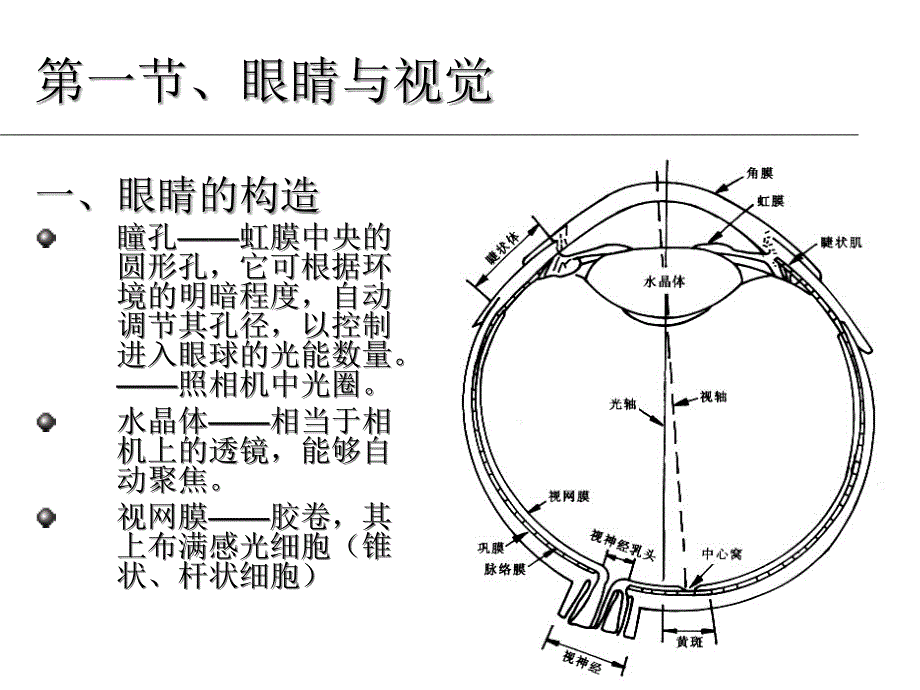 建筑光学第一章建筑光学的基本知识课件_第3页