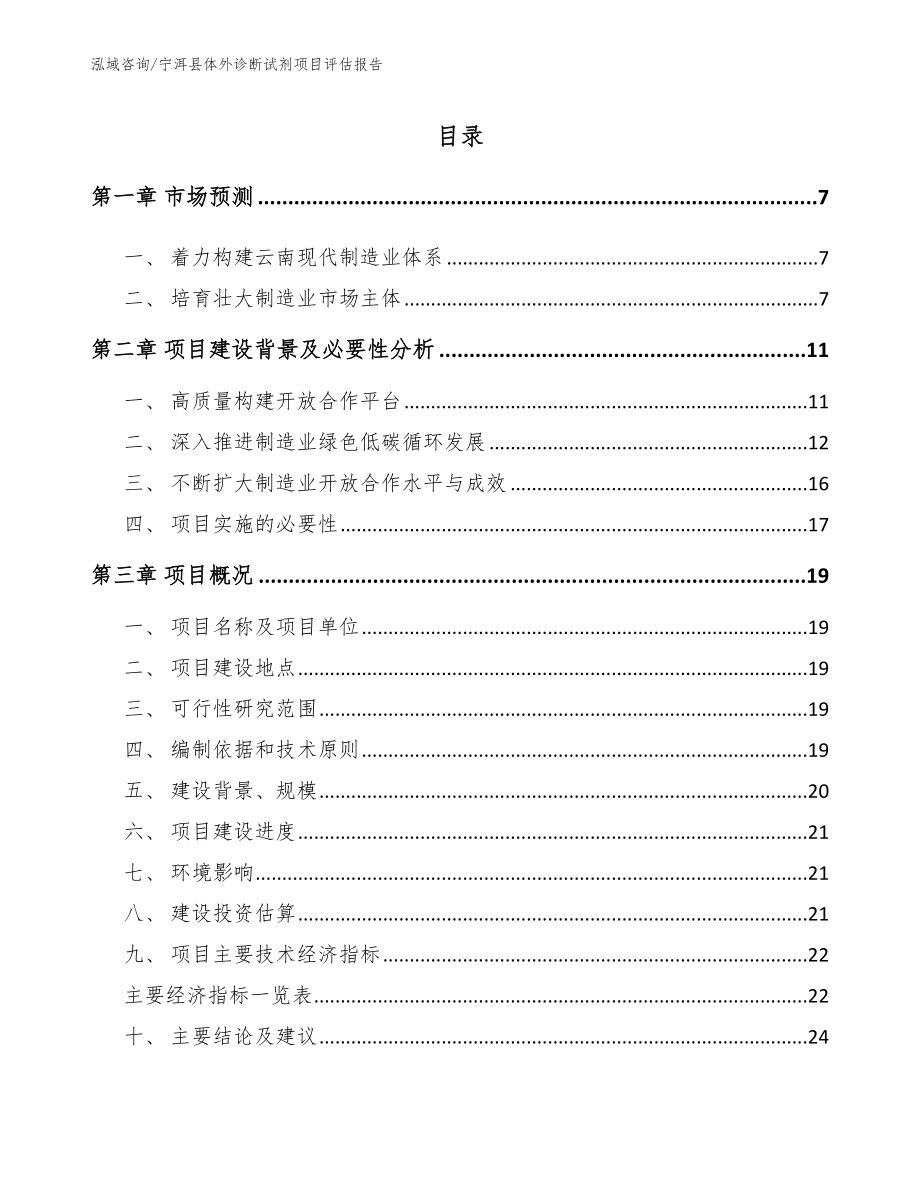 宁洱县体外诊断试剂项目评估报告_第1页