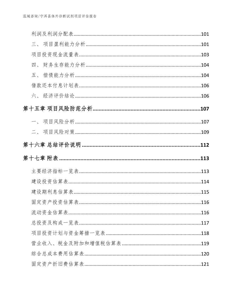 宁洱县体外诊断试剂项目评估报告_第5页