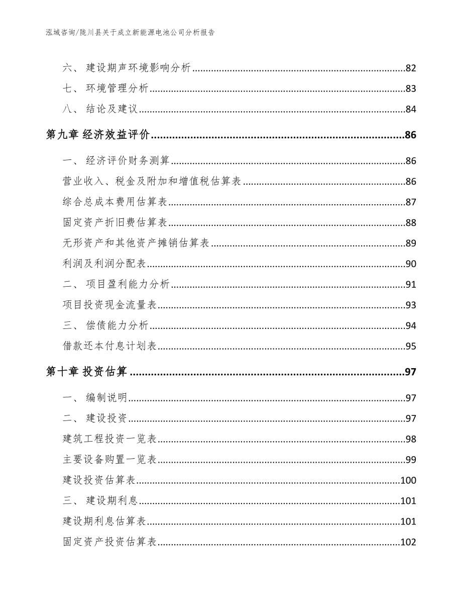 陇川县关于成立新能源电池公司分析报告_第5页