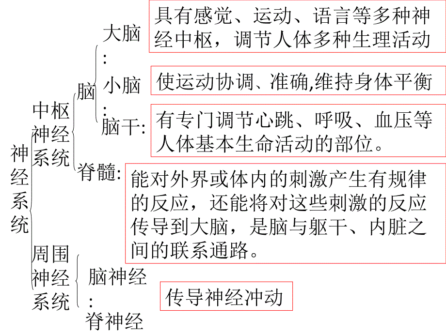 神经系统疾病概述PPT课件_第3页