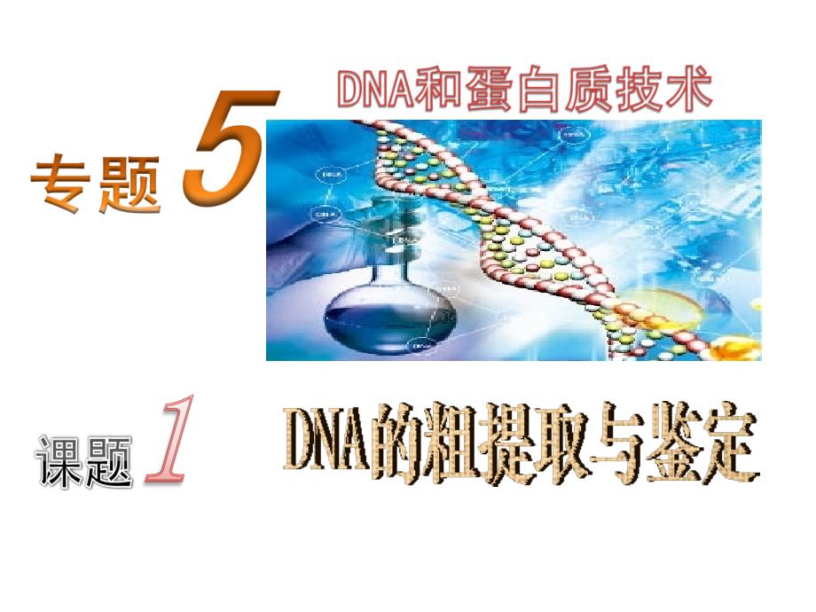 DNA的粗提取与鉴定PPT精品文档_第1页