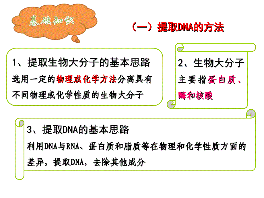 DNA的粗提取与鉴定PPT精品文档_第3页