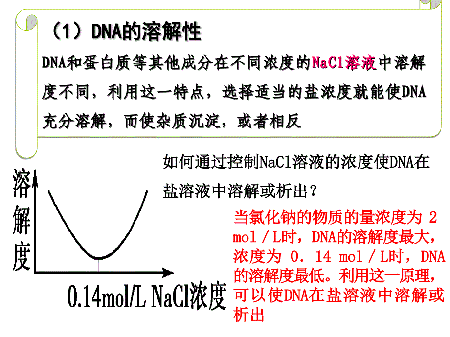 DNA的粗提取与鉴定PPT精品文档_第4页