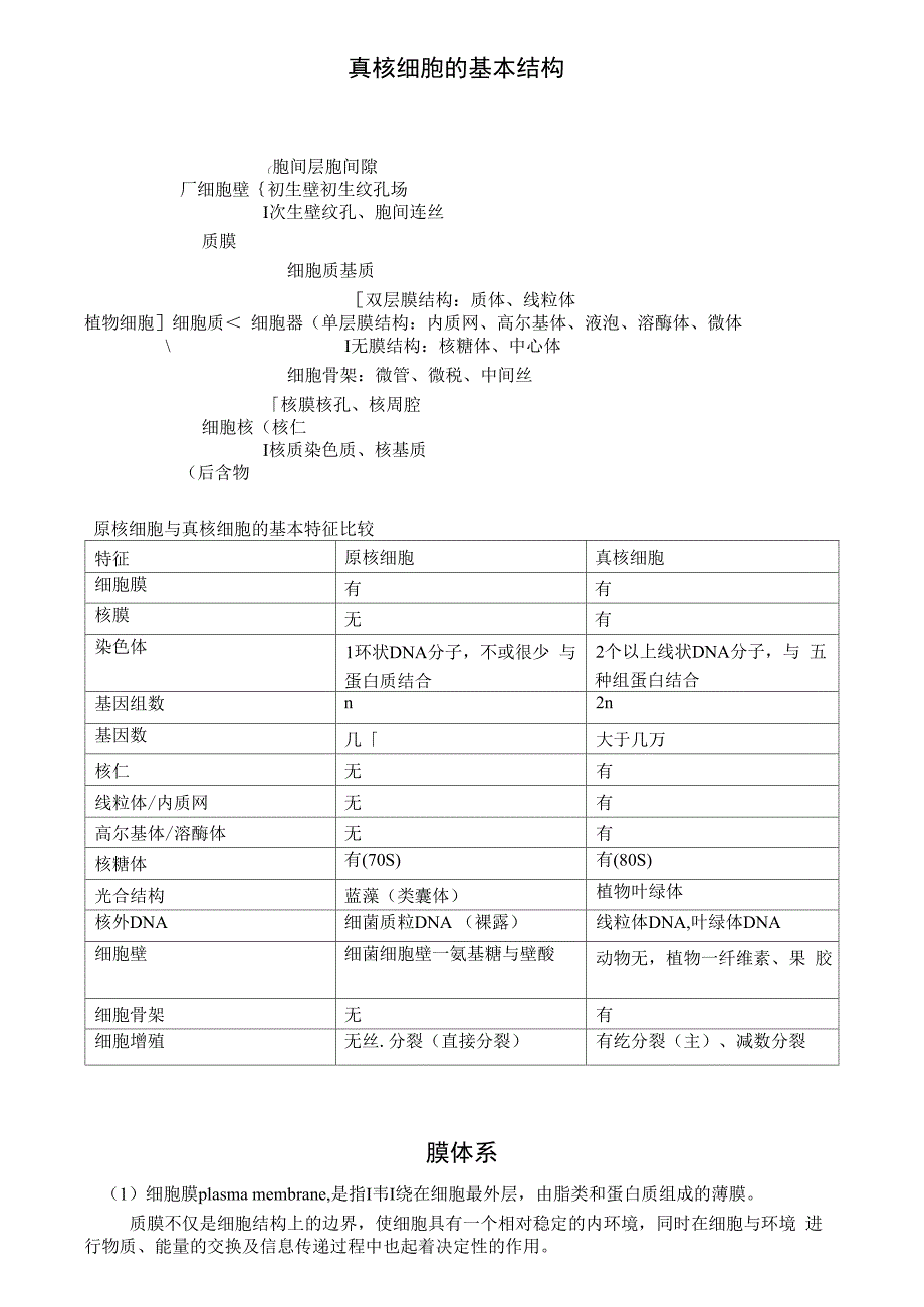 真核细胞的基本结构_第1页