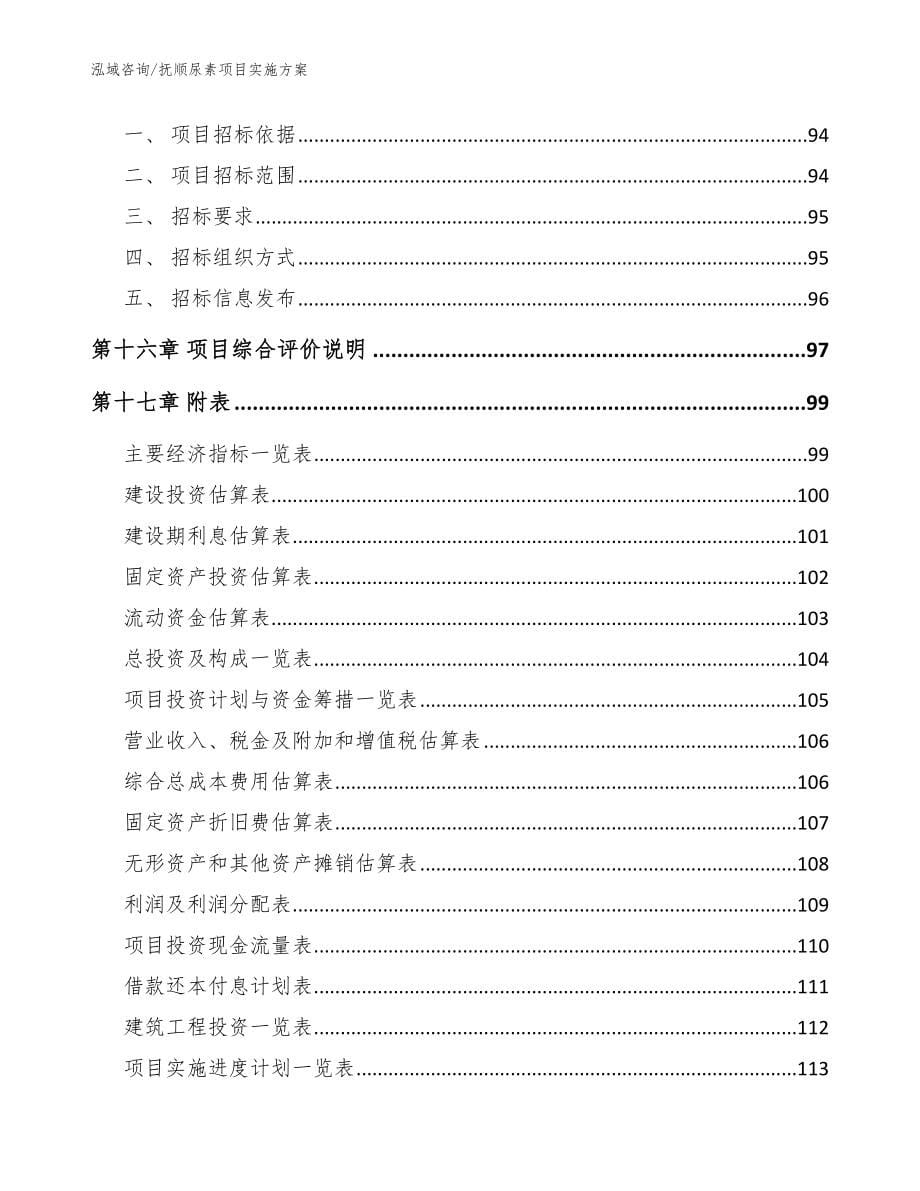 抚顺尿素项目实施方案（模板）_第5页