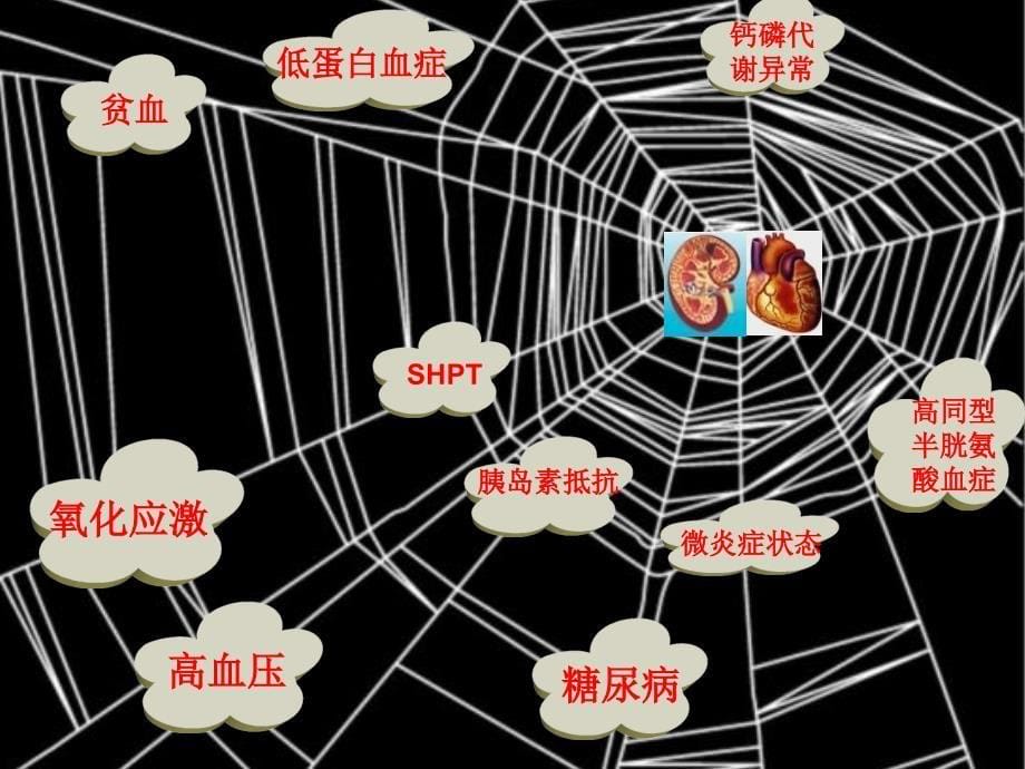 最新血液透析健康教育肾友会文档资料_第5页