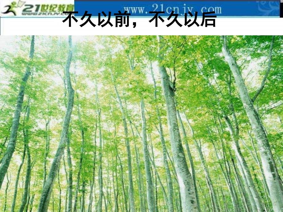 湘教版四年级上册童诗两首不久之前不久之后课件_第3页