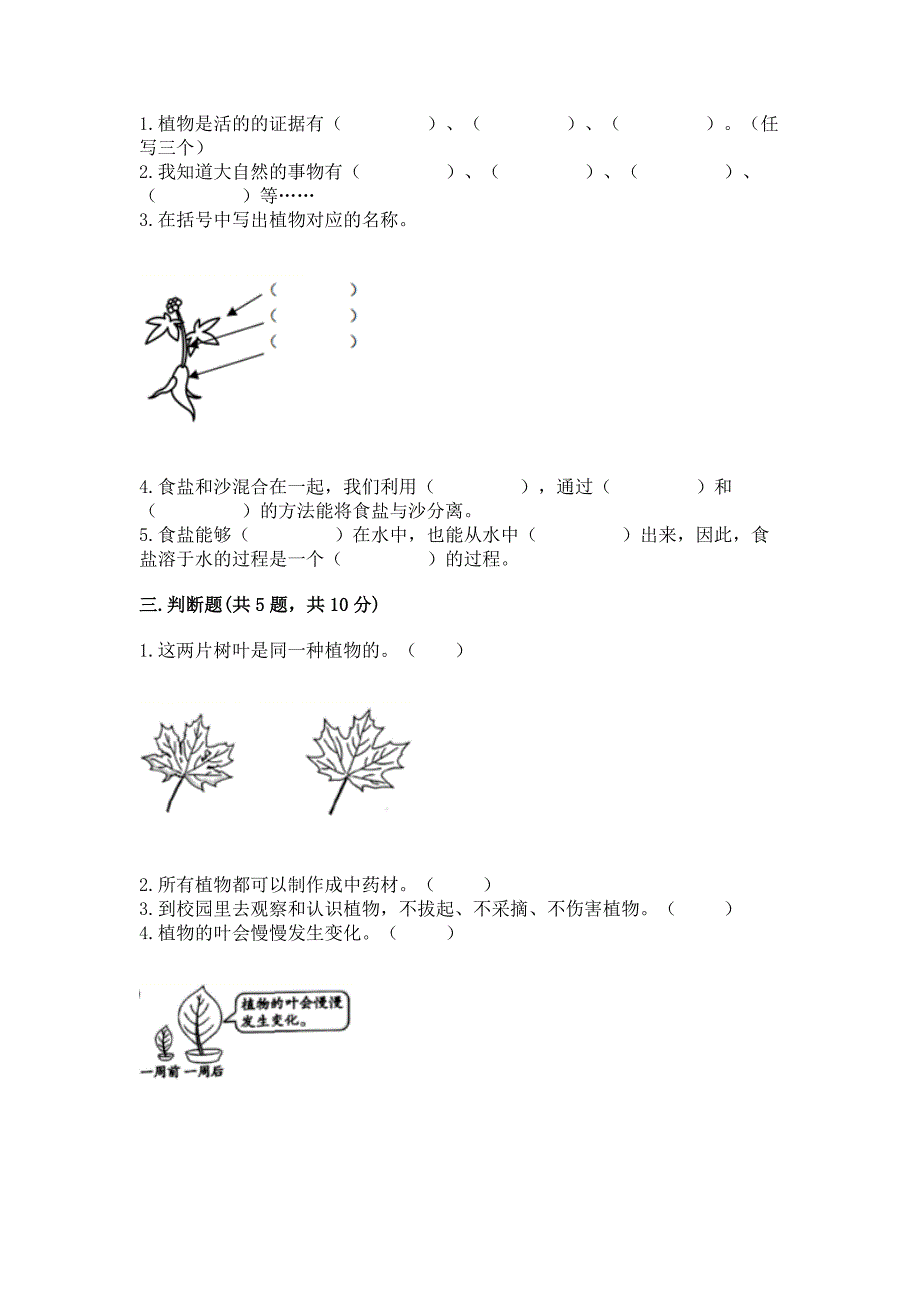 教科版科学一年级上册第一单元《植物》测试卷及答案带答案【精练】.docx_第2页