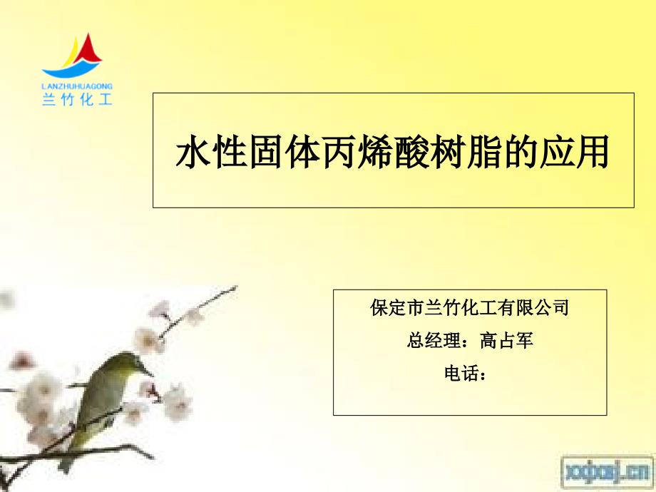 水性固体丙烯酸树脂的应用_第1页