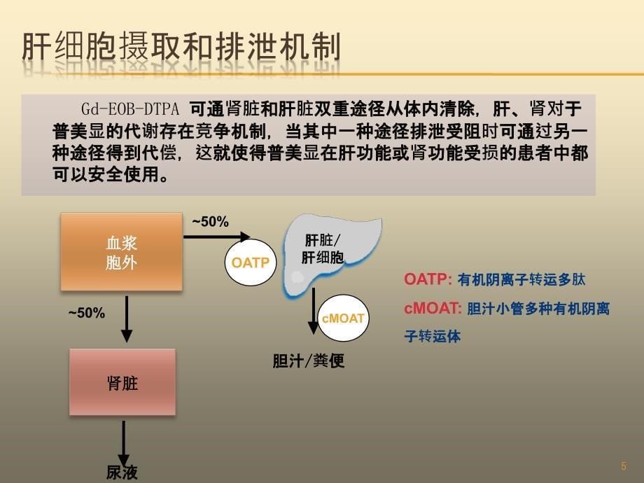 推荐精选肝脏特异性对比剂对肝脏占位性病变诊断价值_第5页